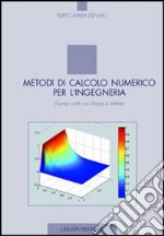 Metodi di calcolo numerico per l'ingegneria. Esempi svolti con Maple e Matlab libro