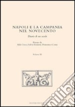 Napoli e la Campania nel Novecento. Diario di un secolo. Vol. 3