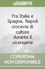 Fra Italia e Spagna. Napoli crocevia di culture durante il vicereame libro