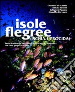 Isole flegree (Ischia e Procida). Batimetria dei fondali marini della Campania con carta allegata 1:30.000 libro