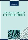 Sentieri di crescita e cluster di imprese libro