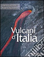 Vulcani d'Italia libro