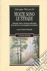 Molte sono le strade. Spiritualità, mistica e letteratura nella Spagna dei secoli d'oro (con un'appendice novecentesca)