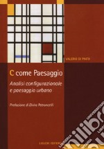 C come paesaggio. Analisi configurazionale e paesaggio urbano