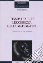 L'insostenibile leggerezza della matematica. Piume frattali e bolle di sapone