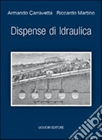 Dispense di idraulica libro