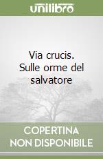 Via crucis. Sulle orme del salvatore libro