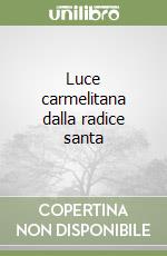 Luce carmelitana dalla radice santa libro