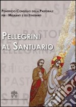 Pellegrini al santuario libro