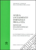 Acqua un elemento essenziale per la vita. Impostare soluzioni efficaci. Un aggiornamento. Il contributo della Santa Sede al Sesto Forum Mondiale dell'Acqua libro