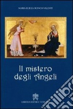 Il mistero degli angeli libro