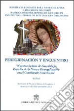 Peregrinación y encuentro libro