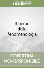 Itinerari della fenomenologia