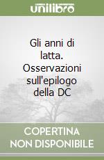 Gli anni di latta. Osservazioni sull'epilogo della DC