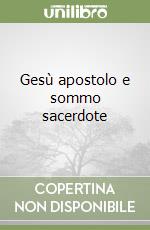 Gesù apostolo e sommo sacerdote libro