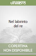 Nel labirinto del re libro