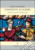 Commento ai Numeri libro