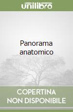 Panorama anatomico