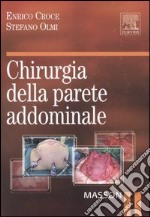 Chirurgia della parete addominale. Ediz. illustrata libro