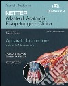 Netter. Atlante di anatomia. Fisiopatologia e clinica. Apparato locomotore. Vol. 1: Arto superiore libro