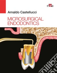 Microsurgical endodontics