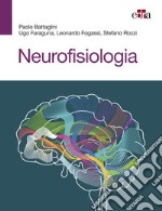 Neurofisiologia