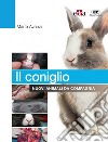 Il coniglio. Nuovi animali da compagnia libro di Avanzi Marta