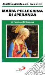 Maria pellegrina di speranza. Un mese con la Madonna libro