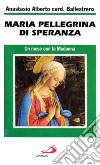 Maria pellegrina di speranza. Un mese con la Madonna libro