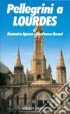 Pellegrini a Lourdes libro