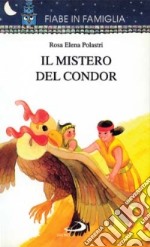 Il mistero del condor