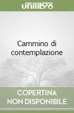 Cammino di contemplazione libro