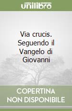 Via crucis. Seguendo il Vangelo di Giovanni libro