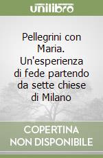 Pellegrini con Maria. Un'esperienza di fede partendo da sette chiese di Milano