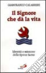 Il Signore che dà la vita. Identità e missione dello Spirito Santo libro