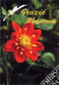 Grazie mamma libro