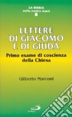 Lettere di Giacomo e di Giuda. Primo esame di coscienza della Chiesa