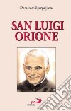 San Luigi Orione libro