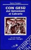 Con Gesù dal Getsemani al Calvario. La «Via crucis» seguendo il vangelo libro