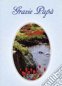 Grazie papà libro