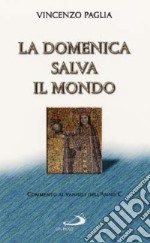 La domenica salva il mondo. Commento ai vangeli dell'anno C libro