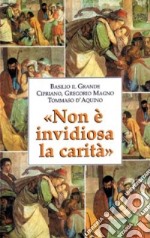 Non è invidiosa la carità (1 Corinzi 13,4) libro