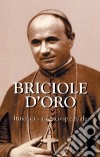 Briciole d'oro. Itinerario ascetico-spirituale. Un anno con gli insegnamenti di san Giuseppe Marello fondatore degli Oblati di san Giuseppe libro