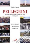 Pellegrini. Il pellegrinaggio a piedi Macerata-Loreto. Significato, tradizione, cronaca libro