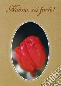 Nonno, sei forte! libro