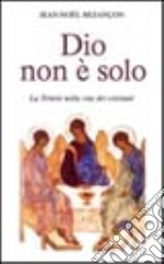 Dio non è solo. La Trinità nella vita dei cristiani libro