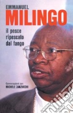 Il pesce ripescato dal fango. Conversazioni con Michele Zanzucchi