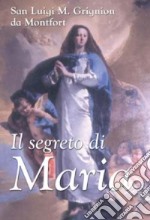 Il segreto di Maria libro