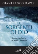 Le sorgenti di Dio. Il mistero dell'acqua tra parola e immagine libro