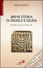 Breve storia di Israele e Giuda. Dal XIII sec. a.C. al II sec. d.C. libro usato